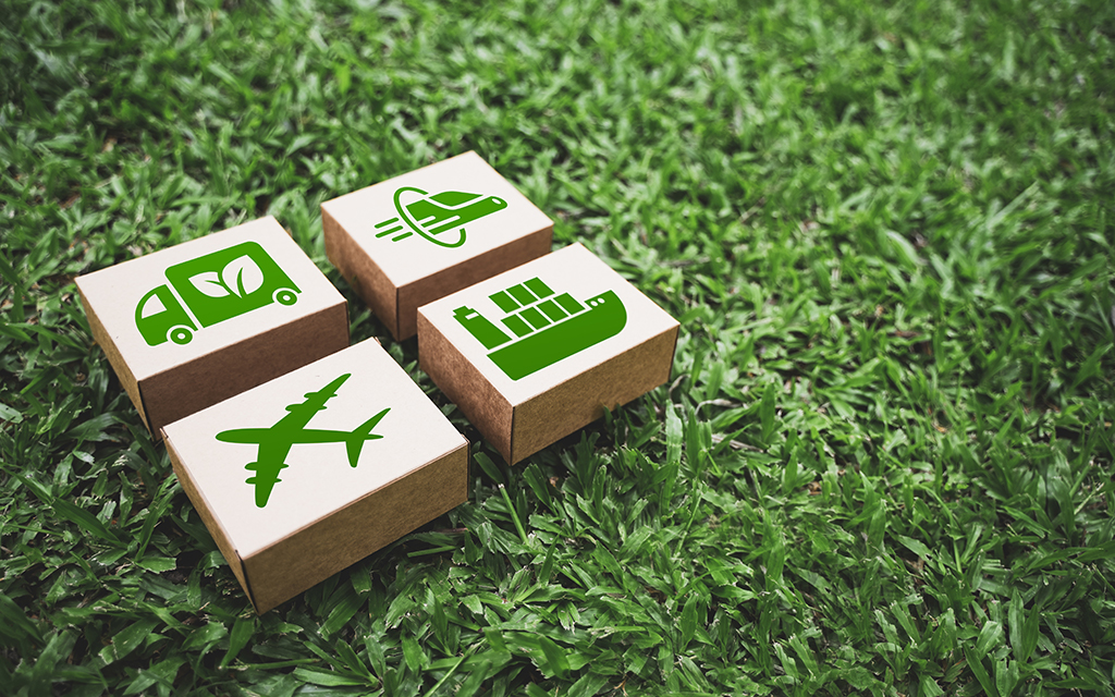 Sustainable Biofuel Production: Insights  from FLEXBY's Preliminary Life Cycle Assessment